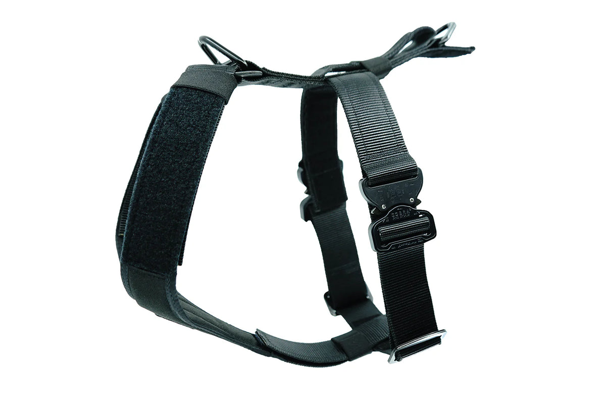 Defender Harness (Double Buckle) - SALE – K9 Tactical Gear Defender Harness (Double Buckle) - SALE – K9 Tactical Gear