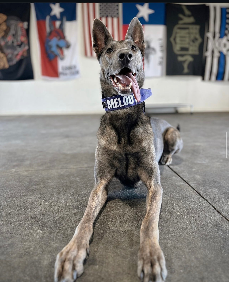 Customizable ID Panel K9 Tactical Gear