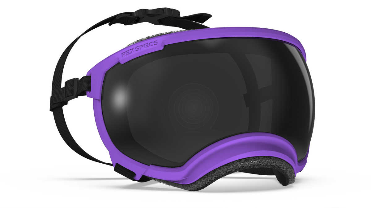 REX SPECS ゴーグル X-SMALL ピンク　新品未使用 REX SPECS ゴーグル X-SMALL ピンク 新品未使用 REXSPECS V2