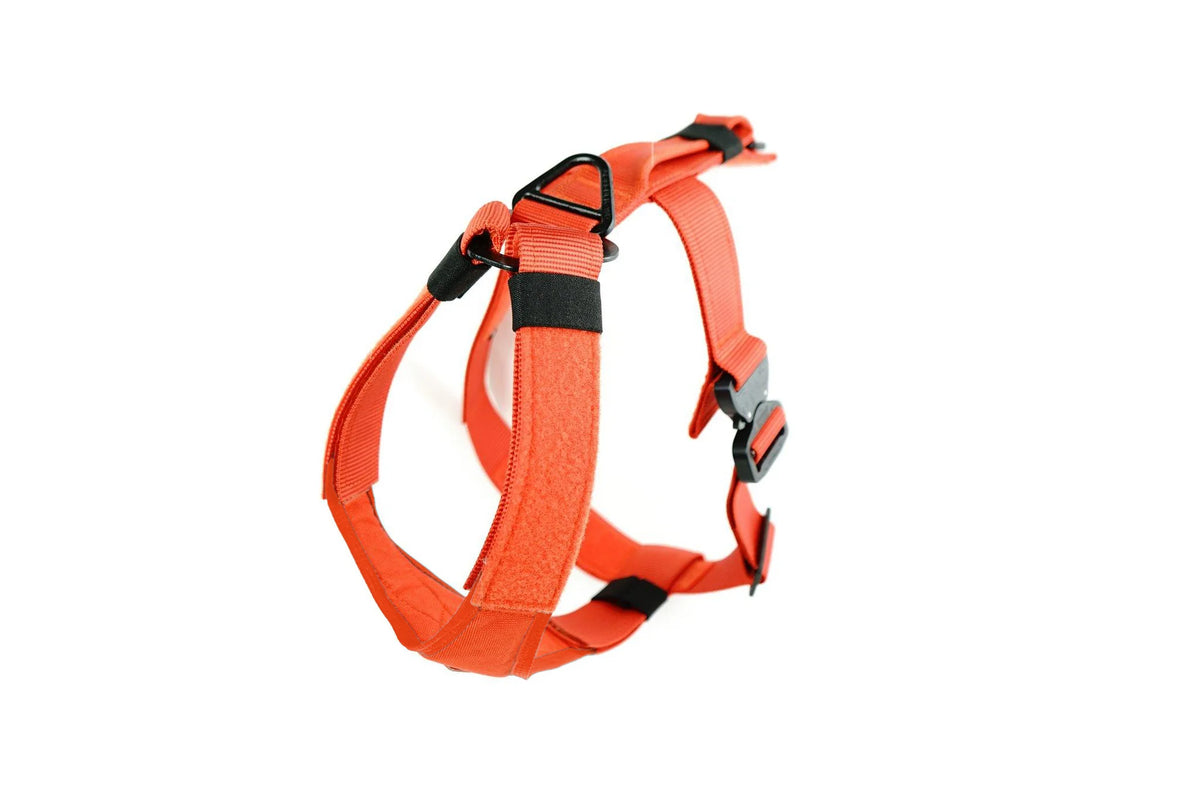 Defender Harness (Single Buckle) SALE K9 Tactical Gear
