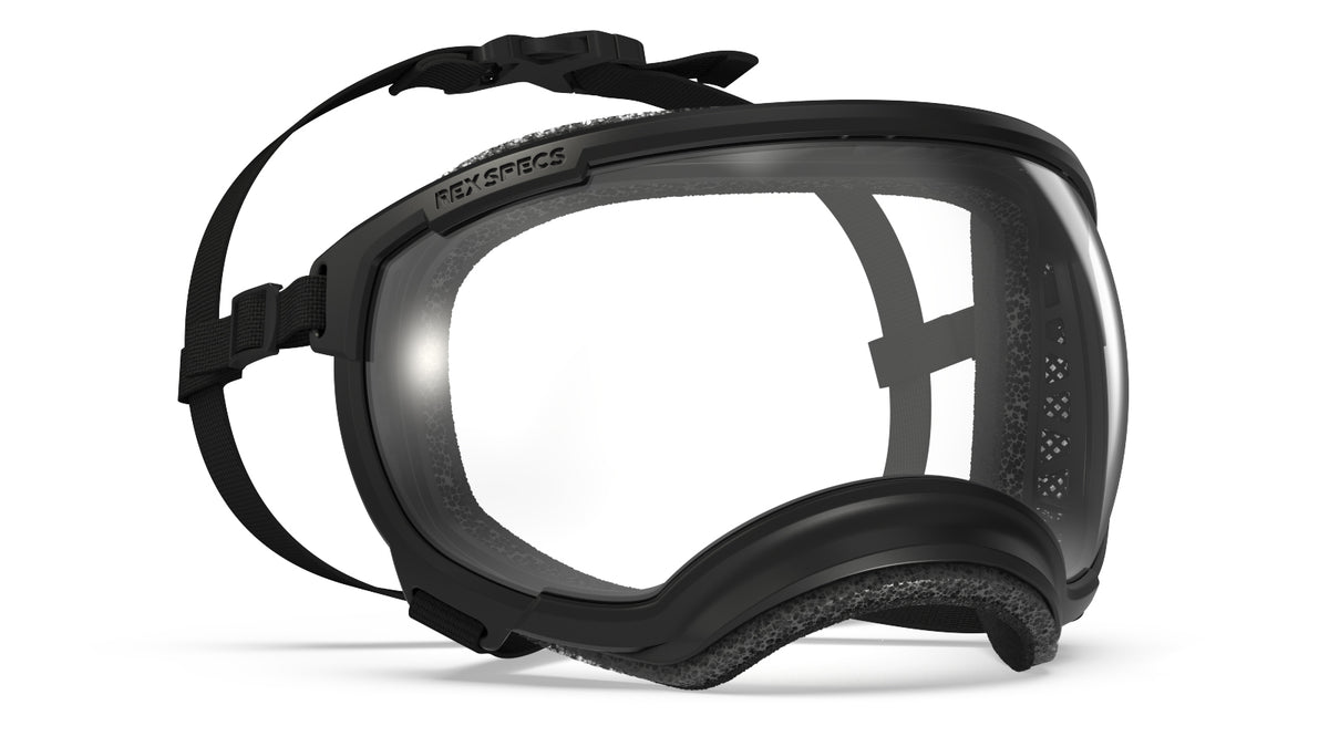 tactical goggles for dogs Rex Specs Goggles V2 Large – K9 Tactical Gear