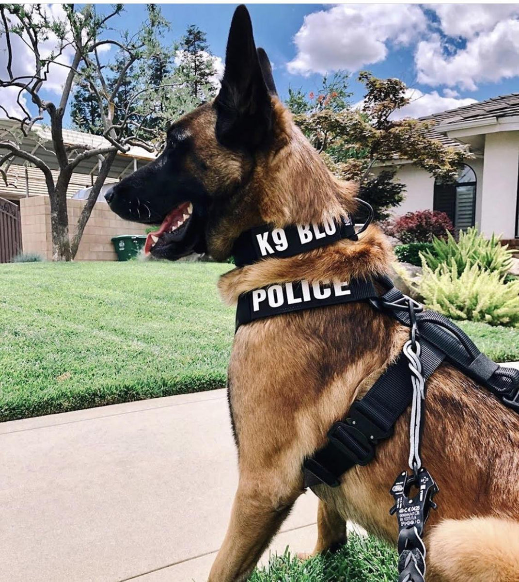k9 tactical gear Leather Tab – K9 Tactical Gear