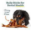 BullySafe Chews - BullySticks: Beef / 12-inch 5 pack