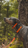 Limited Edition Realtree MAX-7 Collar 1.5
