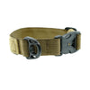 Puppy Collar (Small Dog) - SALE