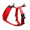 Defender Harness (Double Buckle) - SALE