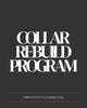 Collar Rebuild