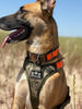 Limited Edition Realtree Max-7 Defender Harness