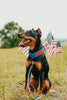 Dog wearing a 'Pawtriot' collar sitting in a field with American flags in the background