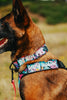 Dog wearing a colorful harness with text in an outdoor setting