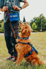 The Limited Drop:  Training Bag