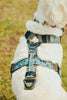 The Limited Drop: Defender Harness
