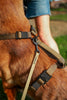 Standard Weight BioThane Beta Leash (3/8" & 1/2")