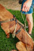 Standard Weight BioThane Beta Leash (3/8" & 1/2")
