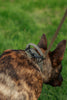 Standard Weight BioThane Beta Leash (3/8" & 1/2")