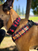 Limited Edition Holiday Double Buckle Defender Harness