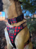 Limited Edition: Buffalo Plaid 1.5" Collar