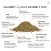 Joint Mobility GLM