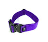 Original Tac Collar 1.75" - SALE