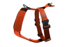 Defender Harness