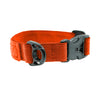 Puppy Collar (Small Dog) - SALE