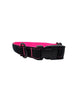 1" Everyday Collar - Polymer - SALE