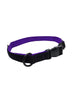 1" Everyday Collar - Polymer - SALE