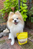 Bocce's Bakery Bac'N Nutty Soft & Chewy Dog Treats 6oz