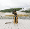 Defender Harness - K9 Tactical Gear