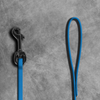 3/8" Biothane Beta Leash - SALE