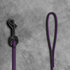 3/8" Biothane Beta Leash - SALE