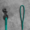 1/2" Biothane Beta Leash - SALE