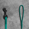 1/2" Biothane Beta Leash - SALE