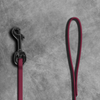 3/8" Biothane Beta Leash - SALE