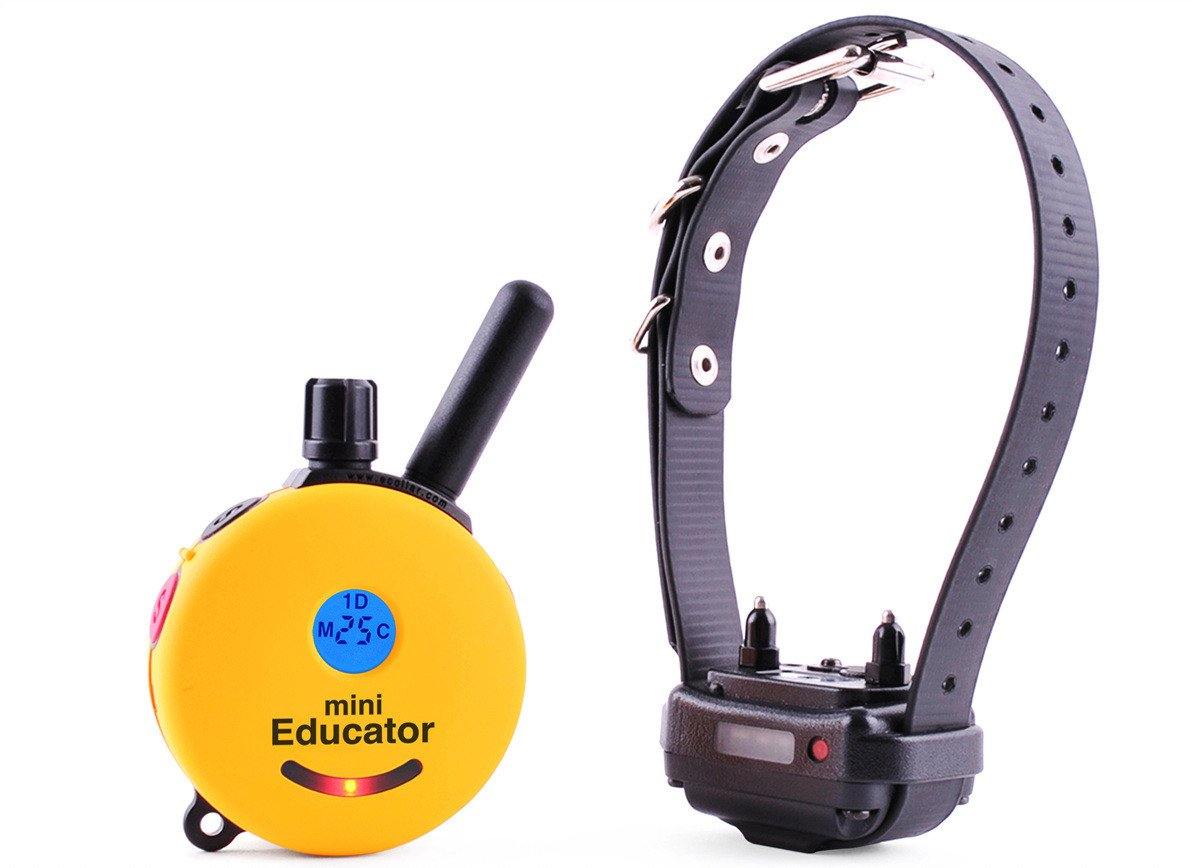 mini dog collar
