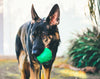 Ball with Extras - K9 Tactical Gear