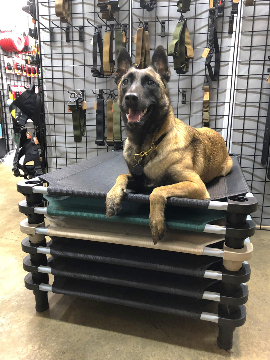 Premium Cot – K9 Tactical Gear